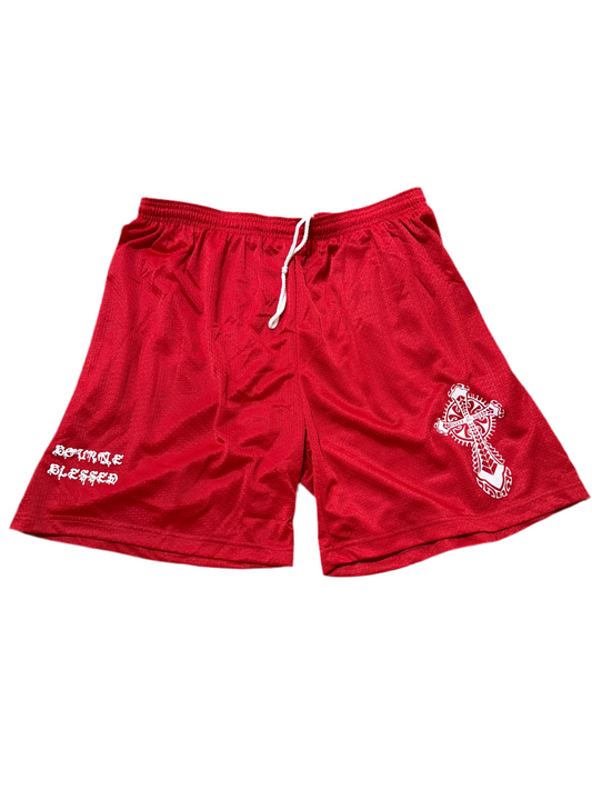 Red Mesh Shorts